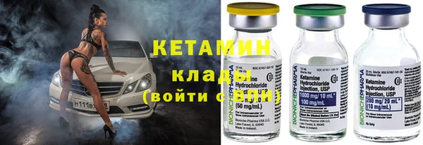 прущие грибы Каменск-Шахтинский