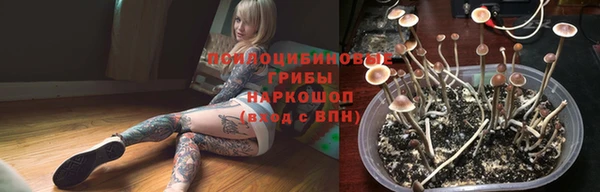 прущие грибы Каменск-Шахтинский