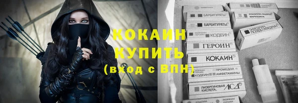 прущие грибы Каменск-Шахтинский