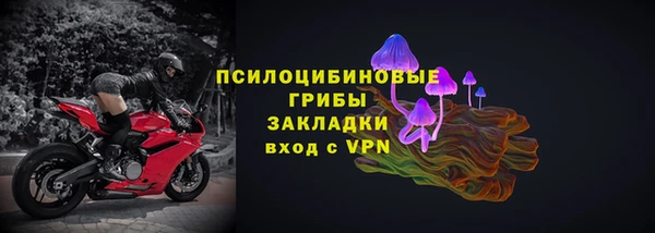 прущая мука Каменка