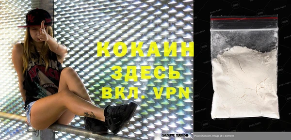индика Касимов