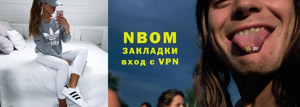 прущие грибы Каменск-Шахтинский