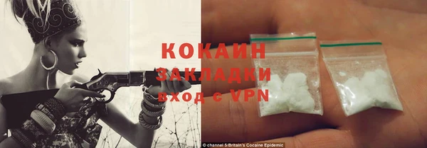 прущие грибы Каменск-Шахтинский