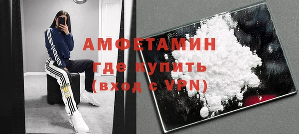 индика Касимов