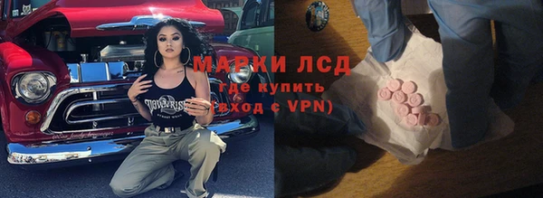 прущие грибы Каменск-Шахтинский