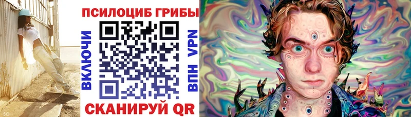 Купить где  Гуково  Псилоцибиновые грибы MAGIC MUSHROOMS 